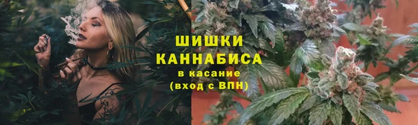 стаф Вязьма